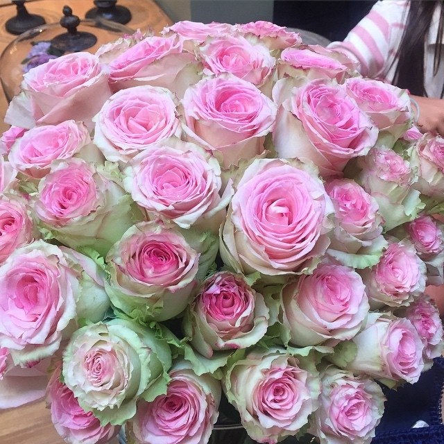 w6gW1ZL2ow4.jpg?1429854764