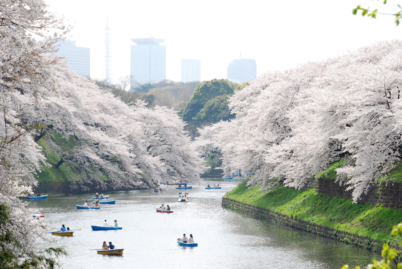 Ueno%20Park.jpg?1491941668
