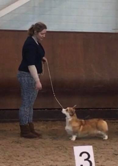 Loredge And Winner Take It All At Linvud (4е место ЮСС)