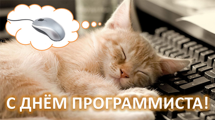 %D0%B4%D0%B5%D0%BD%D1%8C%20%D0%BF%D1%80%