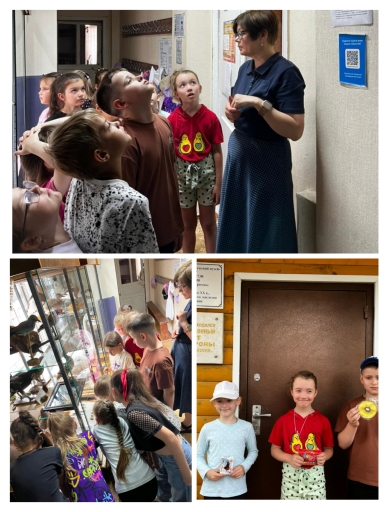 IMG_20250617_210632.jpg?1750236443