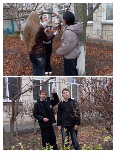 IMG_20251109_124306.jpg?1762754489