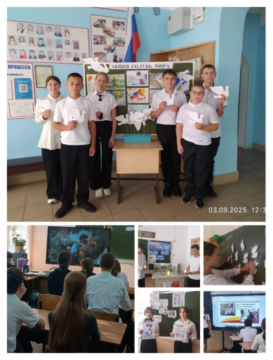 IMG_20250904_131524.jpg?1756981069