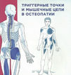 Путеводитель по телу. Триггерные точки и мышечные цепи в остеопатии. Автор, Филипп Рихтер, Эрик Хэпген, Эндрю Бил, Иллюстрированный атлас акупунктуры. Биологические активные точки тела, ушей, триггерные зоны, триггерные, триггерные точки, триггерные зоны тела, Путеводитель по телу. Клинический атлас триггерных точек,  остеопатия, остеопат, остеопатический, иглоукалывание, рефлексотерапия, иглорефлексотерапия, конечности, суставы, мышцы, медик, медицина, человек, человека, на теле, по телу, в мышцах, мышцы, чувствительные точки, чувствительные точки тела, чувствительные точки на теле, фитнес, спорт, спортивный, заряд, Анатомические поезда, остеопатия лечение, лечение, врач остеопат, иглорефлексотерапевт, Иллюстрированный атлас акупунктуры. Биологические активные точки тела, ушей, триггерные зоны, триггерные, триггерные точки, триггерные зоны тела, снять боль, миофасциальный, миофасциальные, Работа с акупунктурными точками, Работа с триггерными точками, расслабляем мышцы, хроническая боль, хронические боли, болевой синдром, избавляемся от боли,