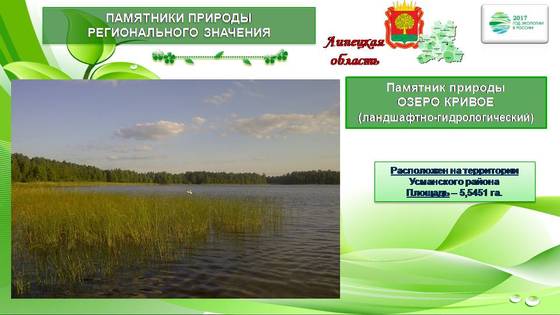 Сайт Магазина Природа Липецк