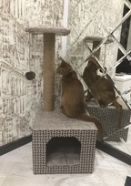 столбик джутовый когтеточка кошкин дом когтеточка столб столбик джут