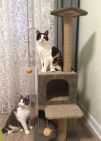 столбик джутовый когтеточка кошкин дом когтеточка столб столбик джут