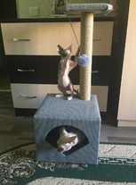 столбик джутовый когтеточка кошкин дом когтеточка столб столбик джут