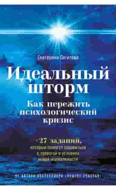 Идеальный шторм. Как пережить психологический кризис: Екатерина Сигитова