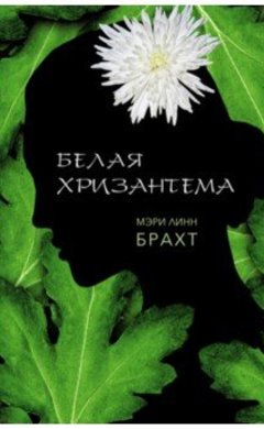 Белая хризантема