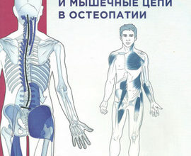 Китай