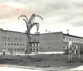 Ландыш на месте магазина