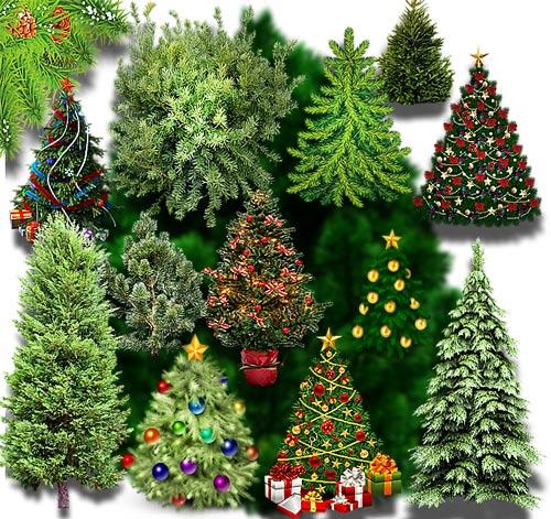 http://cs01.services.mya5.ru/-/PuU4tDycz60pQbT_l2rm0g/sv/image/63/a4/7c/509277/450/elki-2018_12_12.infokurs.mya5.ru_clip-arts-for-photoshop.jpg?1544680085