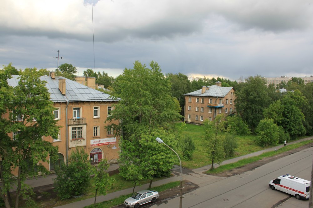 Погода в сосновой поляне