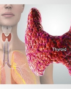 http://cs01.services.mya5.ru/DgABAIQAzPABzQEs_8P7Dw/woQYhTkmB7L5W0_e_llMLg/sv/image/d9/47/75/408028/393/Thyroid_slide-21.jpg?1526462709